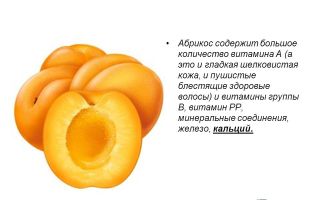 Витамины в абрикосе