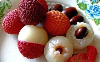 Личи фрукт — полезные свойства, противопоказания, как кушать, фото