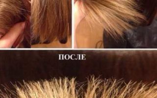 Секущиеся кончики волос — зачем подстригать, как самой подстричь