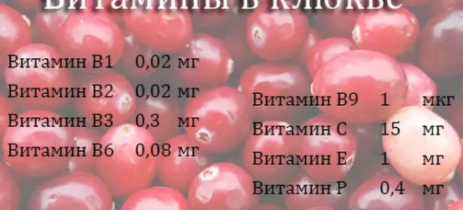 Витамины в клюкве