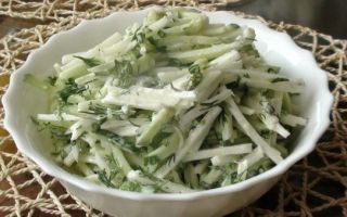 Салат метёлка — рецепт для похудения, как приготовить, польза