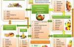 Как правильно сочетать продукты питания при здоровом питании