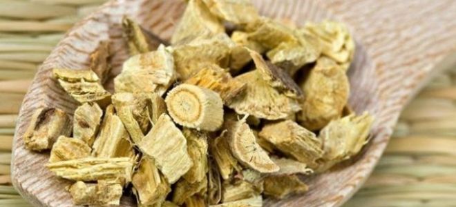 Солодка: инструкция по применению корня и сиропа от кашля и при аллергии, фото растения