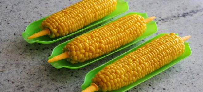 Вареная кукуруза — состав и калорийность, польза и вред
