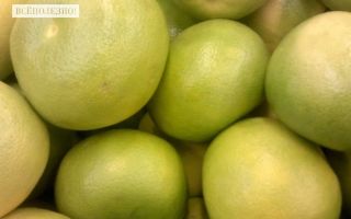 Свити фрукт — полезные свойства, вред, как выбрать