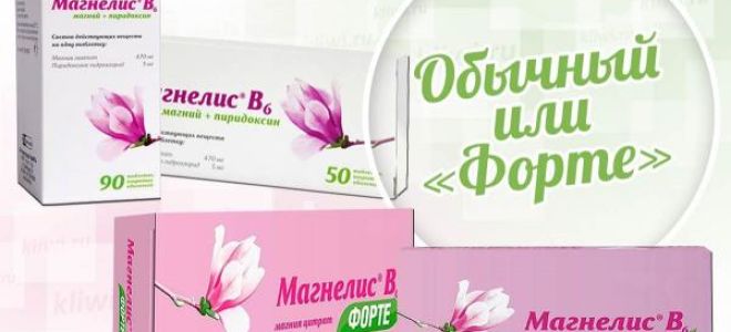 Магнелис b6