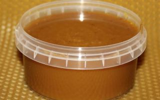 Мед с прополисом: полезные свойства и противопоказания