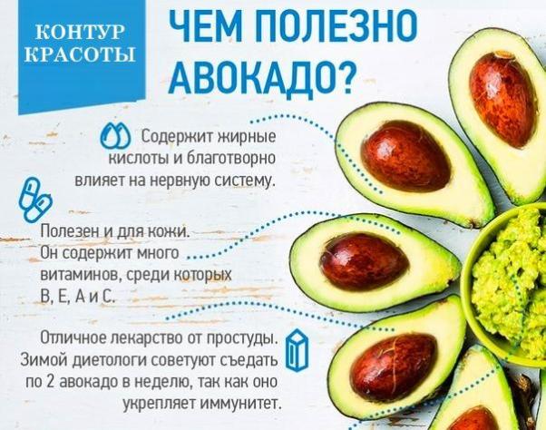 Витамины в авокадо - Азбука витаминов