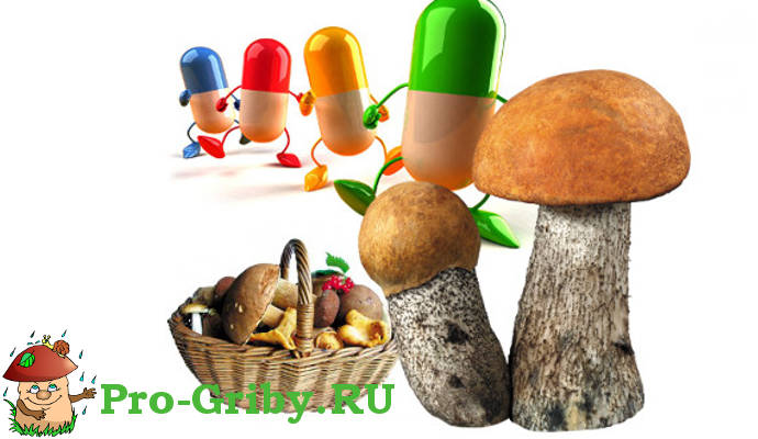 Грибы есть витамины. Витамины в грибах. Витамин д в грибах. Грибы и минералы. Неправильные грибы.