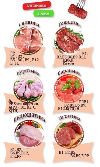 Витамины в мясе - Азбука витаминов