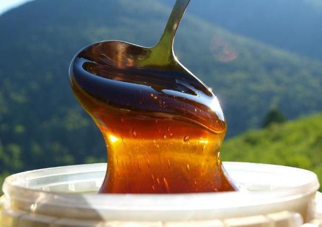 Алтайский горный мед: полезные свойства и противопоказания