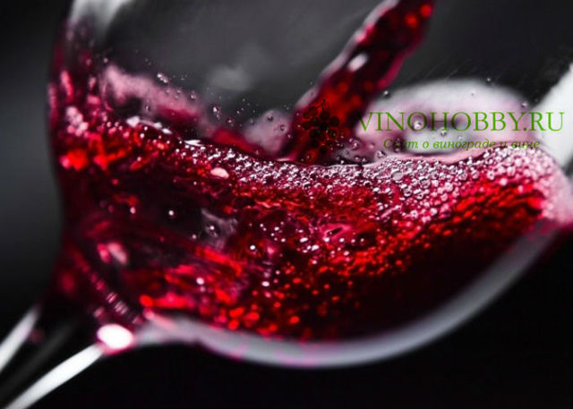 Красное вино — польза и вред, как правильно употреблять