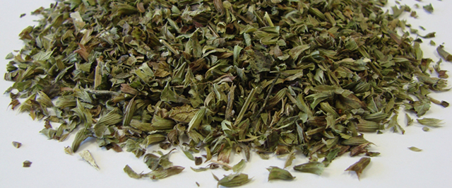 Курильский чай — свойства и противопоказания, применение и состав