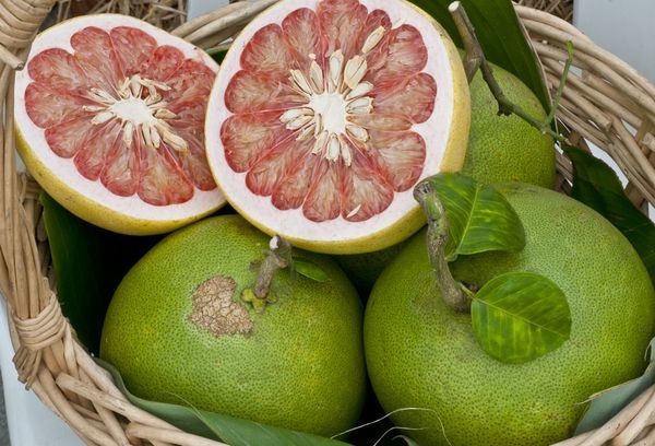 Помело фрукт — полезные свойства, вред, противопоказания