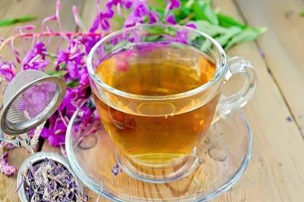 Иван-чай — лечебные свойства, противопоказания, как заваривать