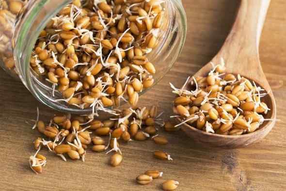 Пророщенная пшеница — польза, вред, как употреблять
