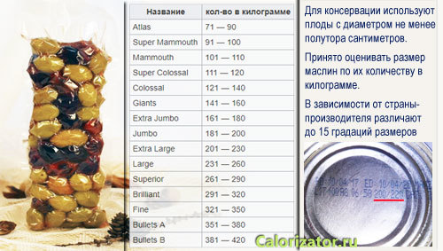 Маслины — польза и вред свежих, консервированных, калорийность