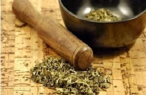 Дурнишник (трава) — лечебные свойства и противопоказания, как принимать