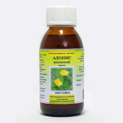 Адонис весенний — применение, свойства, состав, противопоказания