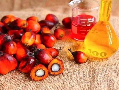 Пальмовое масло — польза и вред, рецепты