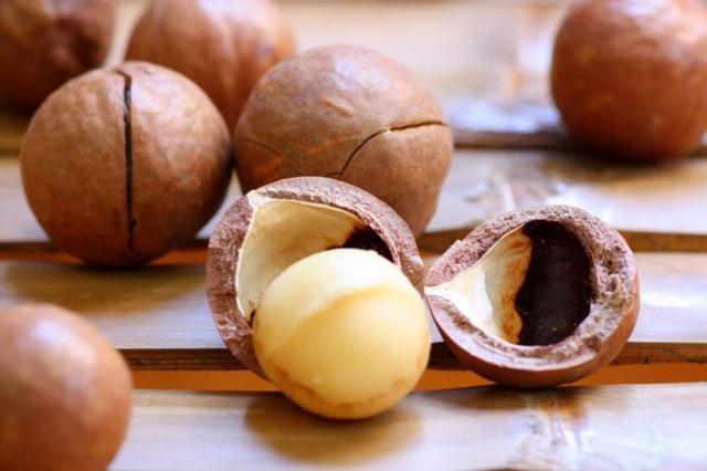 Орех макадамия — полезные свойства, состав, противопоказания