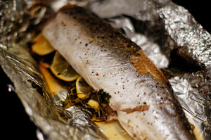 Голец — описание рыбы, польза, вред, как приготовить